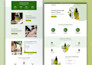 design in figma and build in wordpress responsive website